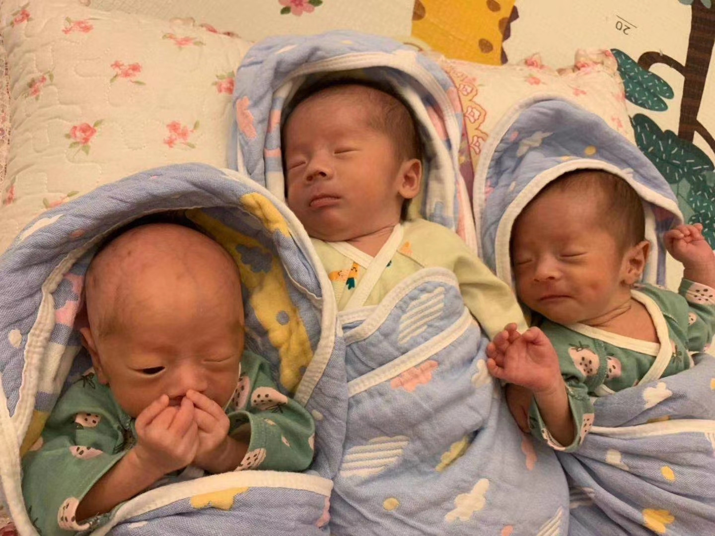 试管婴儿开未婚育证明_广州哪个医院能代孕